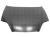 VARIOUS MFR  HY1230131 Hood