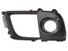 VARIOUS MFR  MI1039109 Fog Lamp Bezel