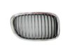 VARIOUS MFR  BM1200197 Grille