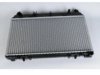 GENERAL MOTORS 17119160 Radiator