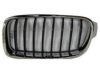 VARIOUS MFR  BM1200236 Grille