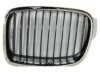 VARIOUS MFR  BM1200232 Grille