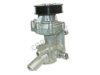 Walbro AW6241 Water Pump