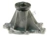 Walbro AW5067 Water Pump