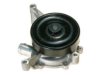 Walbro AW4118 Water Pump