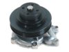 Walbro AW9280 Water Pump