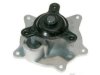 Walbro AW7165 Water Pump